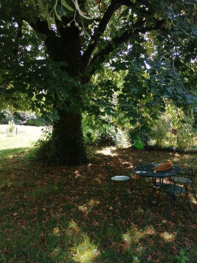 En Plein Air Villa Coursac ภายนอก รูปภาพ